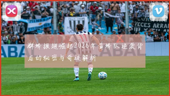 群蜂振翅崛起2026年黄蜂队逆袭背后的秘密与奇迹解析
