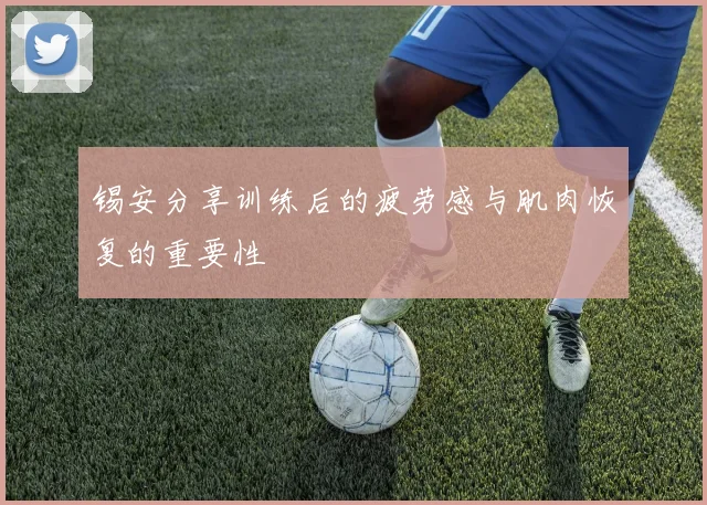 锡安分享训练后的疲劳感与肌肉恢复的重要性