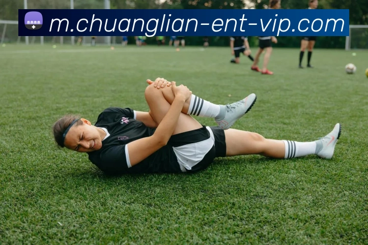 创联娱乐平台服务体系